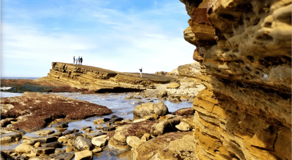 Enjoy A Dreamy Hiking Trail With An Amazing View At The Point Loma Tide Pools And Bluffs Trail In Southern California