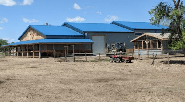 Caputa Alpaca Farm In South Dakota Makes For A Fun Family Day Trip