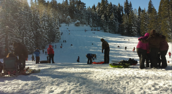Take The Family For A Day Of Sledding On One Of The Biggest Hills In Northern California At Eskimo Hill