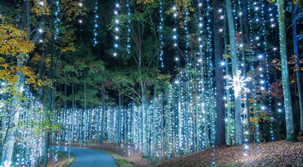 Watch Callaway Gardens Light Up With 8 Million Lights At The Winter Wonderland Festival In Georgia