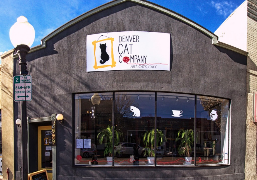 The Denver Cat Company Is A Completely CatThemed Catopia Of A Cafe In