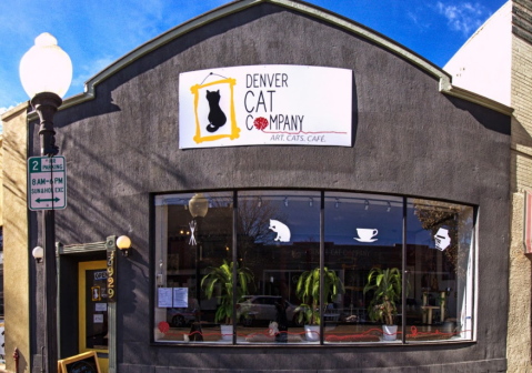 The Denver Cat Company Is A Completely Cat-Themed Catopia Of A Cafe In Colorado