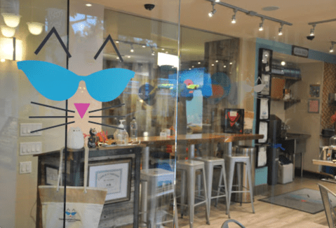 Catmosphere Laguna Is A Completely Cat-Themed Catopia Of A Cafe In Southern California