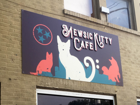 The Mewsic Kitty Cafe In Nashville Is The Perfect Coffee Shop For All The Cat And Animal Lovers Out There
