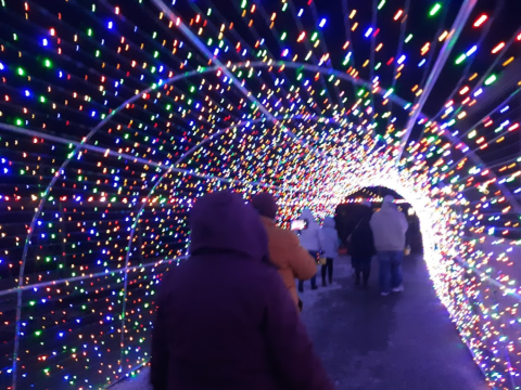 Over 100,000 Lights Illuminate New York’s Animal Adventure Park During The Jungle Bells Event