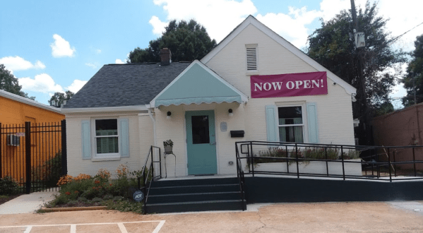 Daily Mews Cat Café‎ Is A Completely Cat-Themed Catopia Of A Cafe In North Carolina