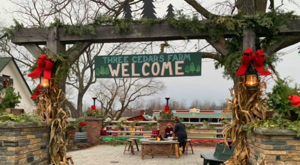 Country Christmas At Three Cedars Farm Makes For Michigan’s Most Wholesome Winter Day Trip