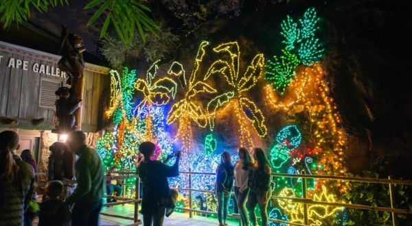 Zoo Lights In Texas Has An Adults-Only Night This Holiday Season With Wine And Beer