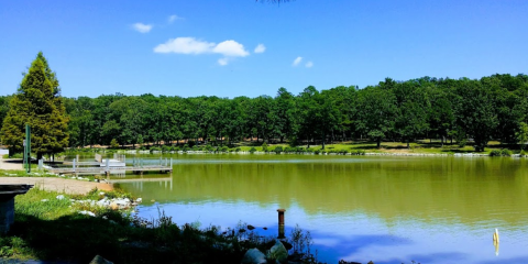 It's Hard To Believe One Of The Best Parks In Arkansas, Craighead Forest Park, Isn't Even A State Park