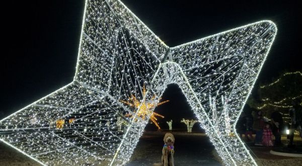 Take An Enchanted Stroll Through Edmond Electric’s Luminance For A Holiday Event To Remember In Oklahoma
