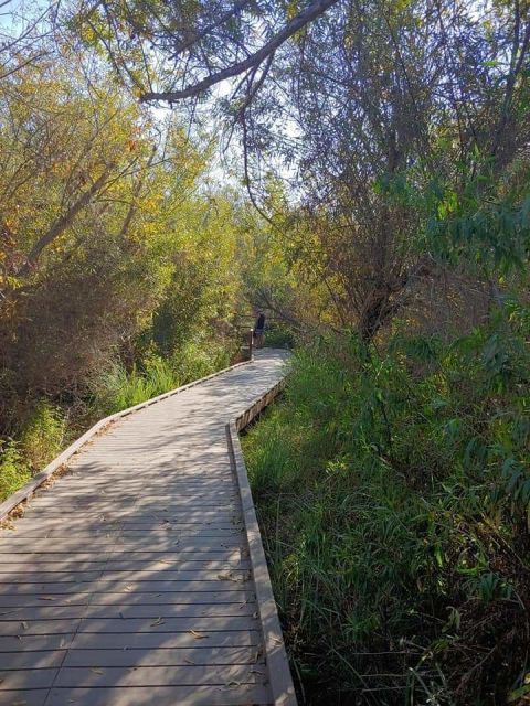 With Its Scenery And Wildlife, The Lake Calavera Loop Trail In Southern California Is A Nature Lover's Paradise