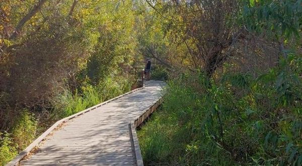 With Its Scenery And Wildlife, The Lake Calavera Loop Trail In Southern California Is A Nature Lover’s Paradise
