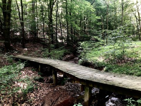 The 11-Mile Zaleski South Loop Trail In Ohio Takes You Through The Enchanting Zaleski State Forest