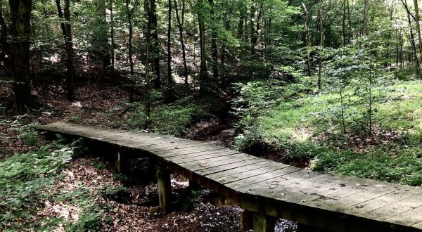 The 11-Mile Zaleski South Loop Trail In Ohio Takes You Through The Enchanting Zaleski State Forest