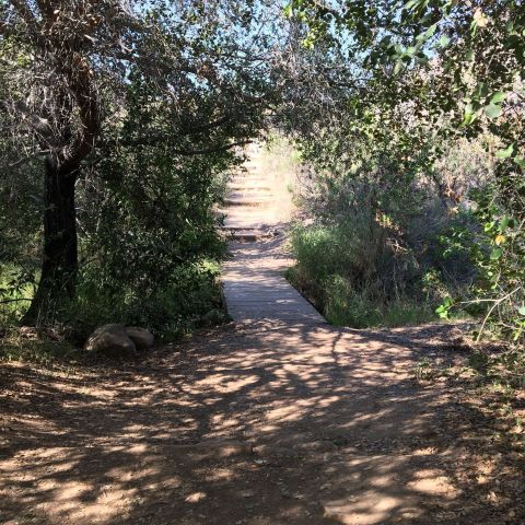 The Enchanting One-Mile Trail In Mission Trails Regional Park In Southern California Is A Short-And-Sweet Fairy Tale Hike