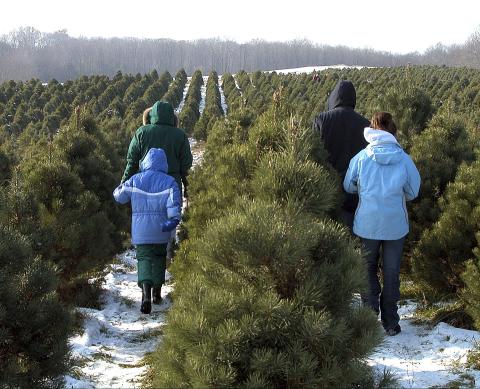 This Christmas Tree Farm Near Cleveland Has Delighted Visitors For Nearly 200 Years