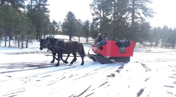 Take A Sleigh Ride To A Campfire With Hot Cocoa At Hitchin’ Post Stables In Arizona