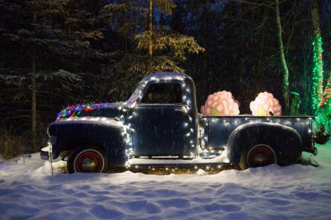 Stroll Through Alaska's Holiday Lights In The Botanical Gardens This Christmas Season