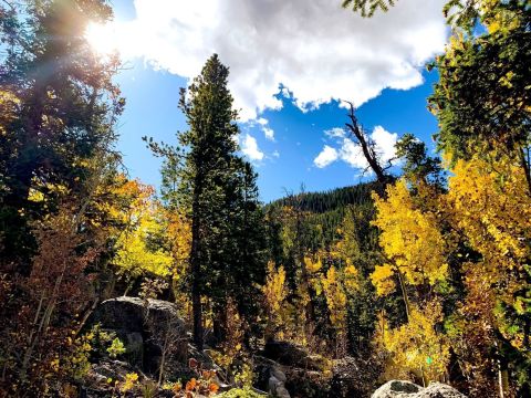 Golden Gate Canyon Is The Most Peaceful Place To Experience Fall Foliage In Colorado