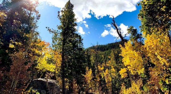 Golden Gate Canyon Is The Most Peaceful Place To Experience Fall Foliage In Colorado