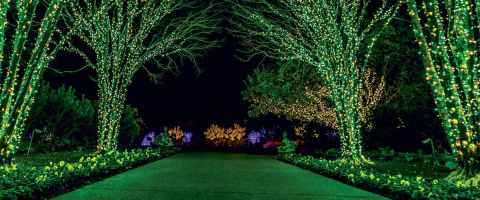 The Garden Christmas Light Display At Cheekwood Estate & Gardens In Nashville Is Pure Holiday Magic