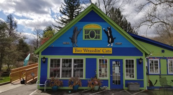 Two Wrasslin’ Cats Is A Completely Cat-Themed Catopia Of A Cafe In Connecticut