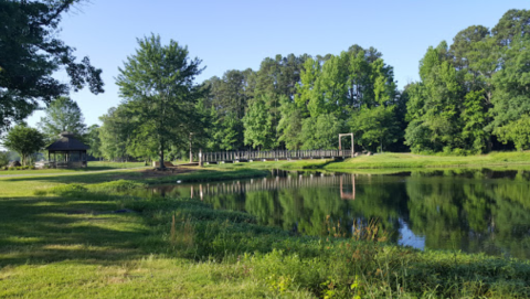 Families Will Love A Day At Lake Willastein, An Arkansas Park Perfect For A Relaxing Adventure
