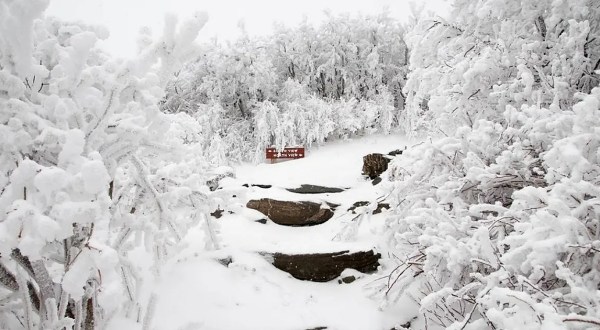 The Easy Snowshoe Trail At Elk Knob State Park In North Carolina Is Ideal For A Bright And Snowy Winter’s Day