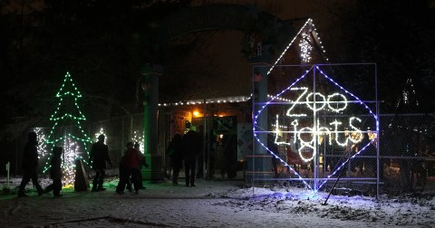 The Wisconsin Zoo Is Decked Out In Thousands Of Glittering Lights For Your Holiday Enjoyment
