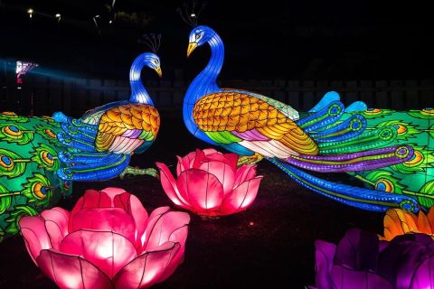Lights Of The Wild At Hattiesburg Zoo Is The First And Only Event Of Its Kind In Mississippi