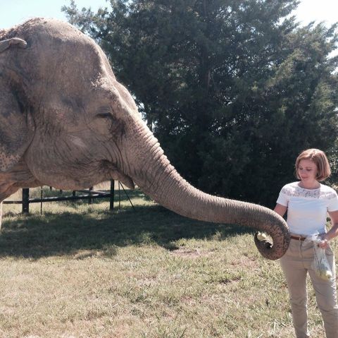 Get Up-Close-And-Personal With Elephants At Endangered Ark Foundation In Oklahoma