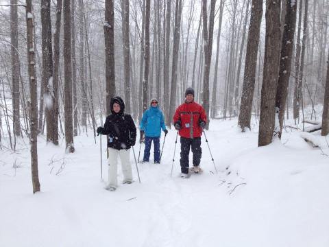 Take A Guided Snowshoe Tour Through Michigan Legacy Art Park For A Unique Outdoor Adventure