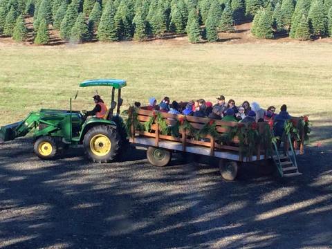 Take A Wagon Ride Through An Idyllic Christmas Tree Farm At Redland Family Farm In Oregon