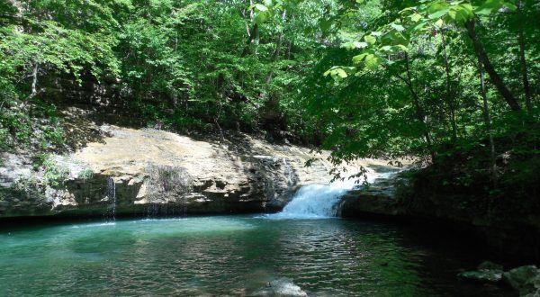 7 Parks And Preserves In Alabama To Visit Sometime In 2020