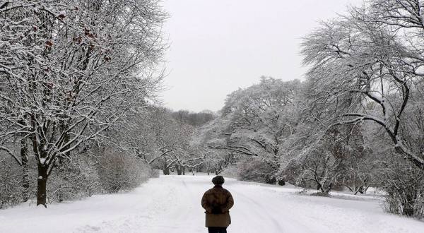 Hiking Through Arnold Arboretum Of Harvard University In Winter Is An Other-Worldly Massachusetts Experience
