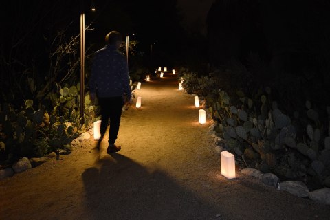 Over 1,000 Glowing Lanterns Will Transform The Rancho Santa Ana Botanic Garden In Southern California For A Magical Event