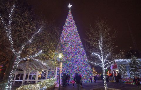 Marvel Over The State's Tallest Christmas Tree At Kennywood Park In Pittsburgh This Christmastime