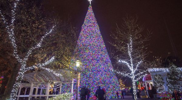Marvel Over The State’s Tallest Christmas Tree At Kennywood Park In Pittsburgh This Christmastime
