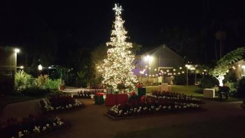 The Garden Christmas Light Displays At Sherman Library and Gardens In Southern California Is Pure Holiday Magic
