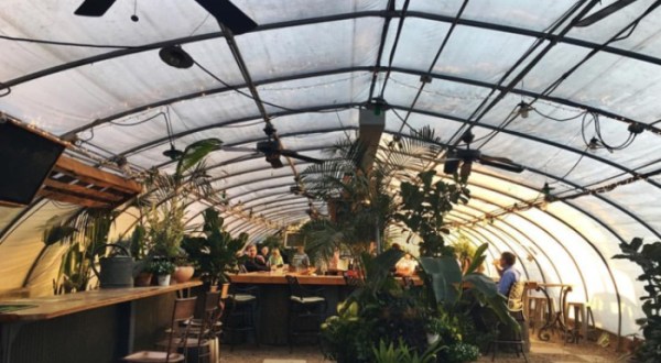 Sip Drinks Inside A Greenhouse-Turned-Bar At The Greenhouse Bar In Tennessee This Winter