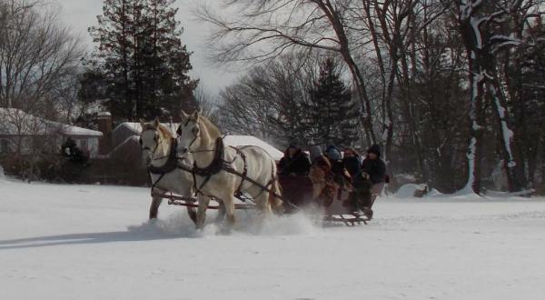 Embark On An Enchanting Horse-Drawn Carriage Ride At Allegra Farm In Connecticut