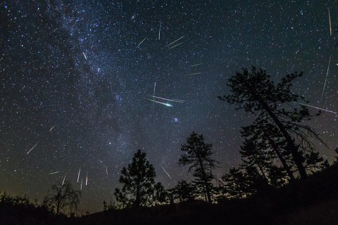 The South Carolina Sky Will Light Up With Shooting Stars And A Nearly Full Moon This Week During The Geminid Meteor Shower