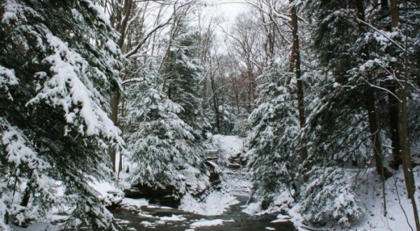 This Easy And Beautiful Hike At Bedford Reservation Should Be Added To Your Ohio Winter Bucket List This Year