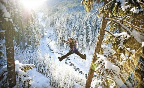 Take A Winter Zip Line Tour To Marvel Over Missouri's Majestic Snow Covered Landscape From Above