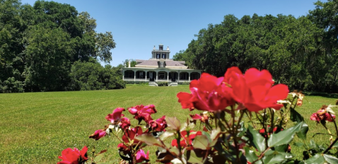 Experience The Spa-Like Serenity Of The Rip Van Winkle Gardens In Louisiana