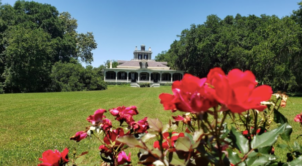 Experience The Spa-Like Serenity Of The Rip Van Winkle Gardens In Louisiana