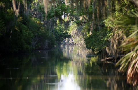Explore 20,000 Acres Of Cypress Swamp With Adventures Of Jean Lafitte Tours Near New Orleans