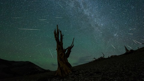Next Month, Watch The Nevada Skies Light Up During One Of The Best Meteor Showers of The Year