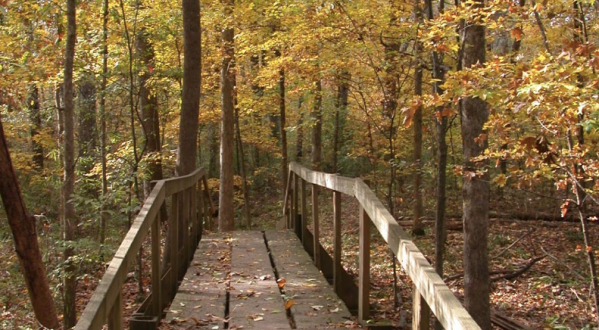 Spend Your Day At A Peaceful Oasis Begging To Be Visited At Walter B. Jacobs Park In Louisiana