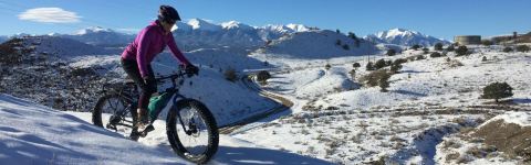 Take An Exciting Ride On A Snow Bike At Absolute Bikes Adventures In Colorado